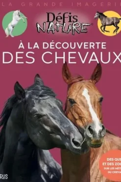 A la découverte des chevaux, Claire Neveux
