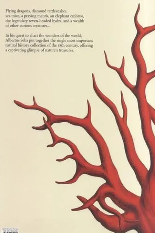 Albert Seba. Le Cabinet des curiosités naturelles, Edition français-anglais-allemand, Irmgard Müsch