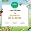 Animaux de la forêt, Caroline Aellen