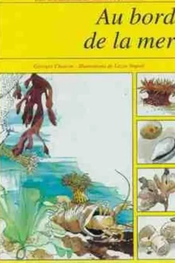 AU BORD DE LA MER, Georges Chauvin