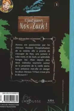 Au galop ! Une saison à cheval Tome 1 : Il faut sauver Nox et Zach !, Sylvie de Mathuisieulx