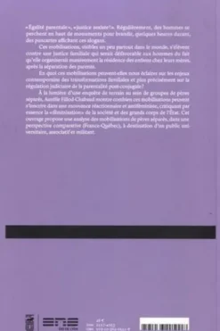 Au nom du père. Sociologie des mobilisations de pères séparés, Aurélie Fillod-Chabaud