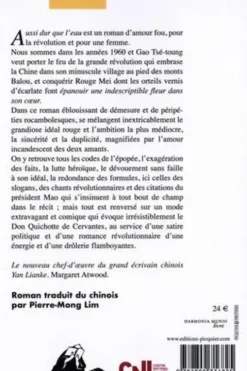 Aussi dur que l'eau, Lianke Yan