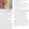 Beaubadugly. L'autre histoire de la peinture, Edition bilingue français-anglais, Hervé Di Rosa
