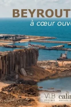 Beyrouth à coeur ouvert, Collectif D'Auteurs