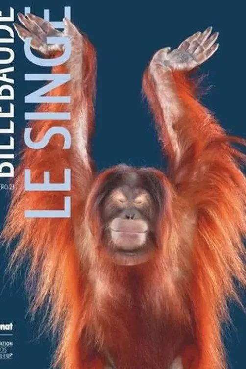 Billebaude N° 23, automne-hiver 2023 : Le singe, Antoine Kauffer