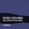 Bioétique et droits humains. Quelles perspectives pour le Maroc ?, Ali Benmakhlouf