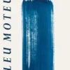 Bleu moteur, Geneviève Besse-Houdent