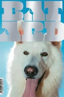 Bâtard N° 7, décembre 2024, Dog Social Club Media Editions