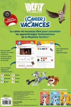Cahier de vacances Idéfix et les irréductibles. De la Moyenne section à la Grande section , Edition 2024, Cécile Vibaux