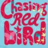 Chasing Red-Bird. Edition en anglais, Sharon Creech