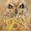 Chouettes et hiboux. Les yeux dans les yeux, Aurélien Agnus