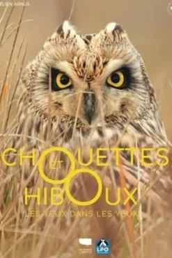Chouettes et hiboux. Les yeux dans les yeux, Aurélien Agnus