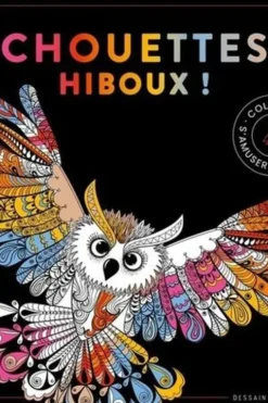 Chouettes hiboux !, Dessain et Tolra