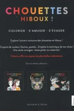 Chouettes hiboux !, Dessain et Tolra