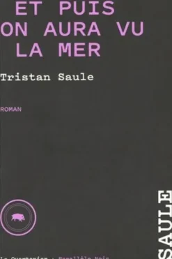 Chroniques de la place carrée Tome 4 : Et puis on aura vu la mer, Tristan Saule