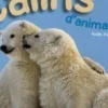 Câlins d'animaux, Judith Pincemin