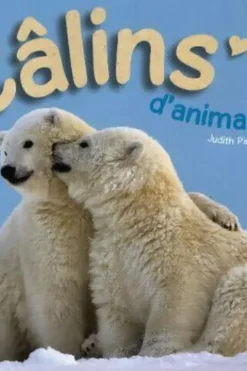 Câlins d'animaux, Judith Pincemin