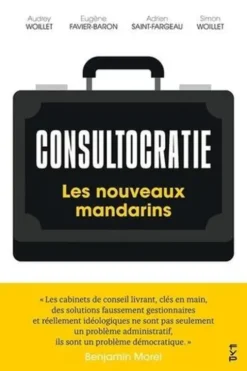 Consultocratie. Les nouveaux mandarins, Audrey Woillet