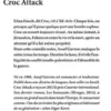 Croc Attack, Assaf Gavron