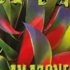 Dada N° 291, mai 2025 : Amazonie, Antoine Ullmann