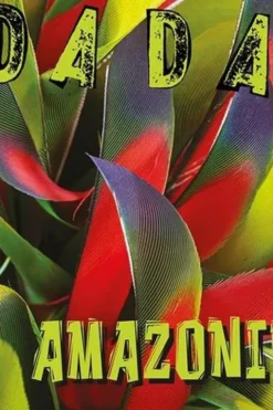 Dada N° 291, mai 2025 : Amazonie, Antoine Ullmann