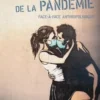 Dans l'oeil de la pandémie. Face-à-face anthropologique, Jacinthe Mazzocchetti