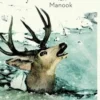 Débâcle, Ian Manook