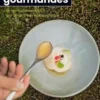 Découvertes gourmandes dans le Parc naturel régional de Brière. Le territoire raconté par vingt chefs restaurateurs, Ouest-France