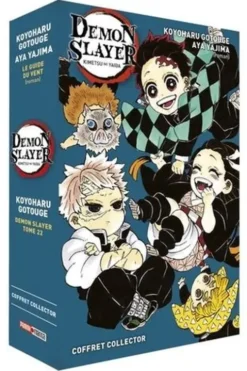 Demon Slayer : Coffret en 2 volumes : Demon Slayer Tome 22 ; Roman Tome 3, Koyoharu Gotouge