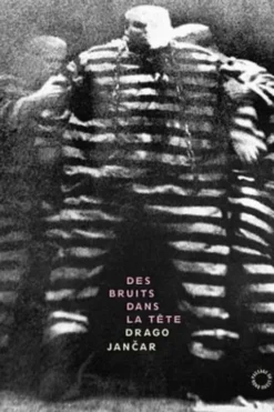 Des bruits dans la tête, Drago Jancar