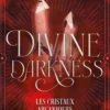 Divine Darkness Tome 3 : Les cristaux arcaniques, Anna Triss