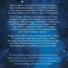 Divine Darkness Tome 2 : Les âmes damnées de la nuit, Anna Triss