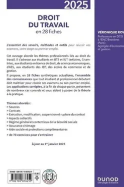 Droit du travail en 28 fiches. Edition 2025, Véronique Roy