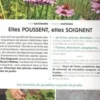 Elles poussent, elles soignent. 50 plantes à cultiver pour leurs bienfaits reconnus, Eve Gaignard