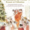Ernest et Célestine : Le calendrier de l'avent. Une grande histoire racontée en 24 petits livres pour attendre Noël, Gabrielle Vincent