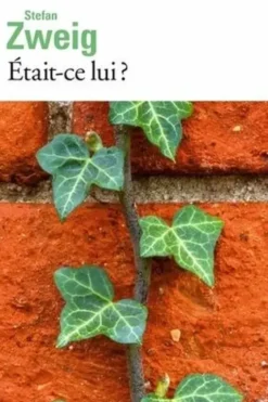 Etait-ce lui ? Précédé de Un homme qu'on n'oublie pas, Stefan Zweig