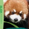 Expédition au pays des pandas roux, Pascal Ruter