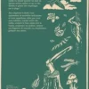 Explorer la forêt. Guide pratique pour se nourrir, découvrir, fabriquer, Richard Irvine