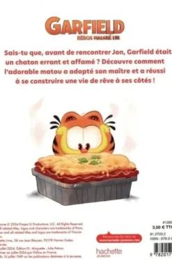 Garfield, héros malgré lui. Les grands rêves d'un petit chat, Hachette Jeunesse