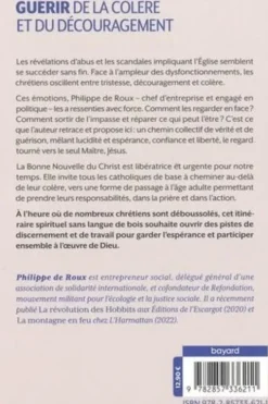 Guérir de la colère et du découragement. Méditation face aux scandales de l'Eglise Catholique, Bayard