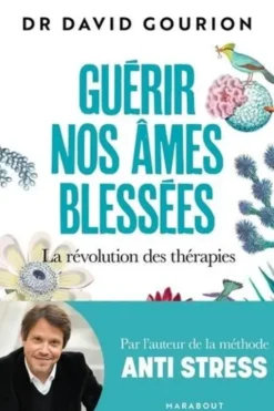 Guérir nos âmes blessées. La révolution des thérapies, David Gourion