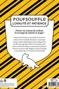 Harry Potter Poufsouffle, Wizarding World
