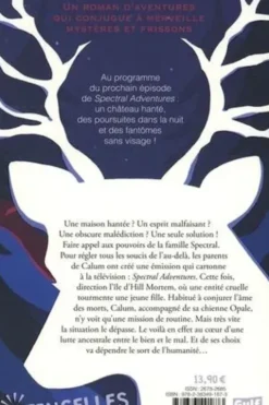 Hill Mortem. Le voeu d'éternité, Martin Meyronne