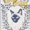 Histoire d'un chat, Laura Agusti