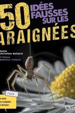 50 idées fausses sur les araignées, Christine Rollard