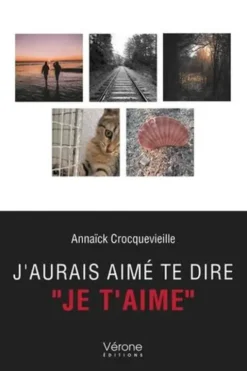 J'aurais aimé te dire "je t'aime", Annaïck Crocquevieille