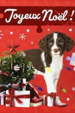 Joyeux Noël ! 5 puzzles, Langue au chat