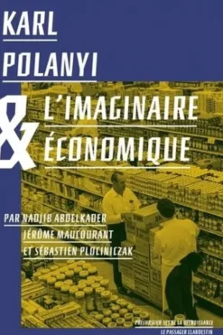 Karl Polanyi & l'imaginaire économique, Nadjib Abdelkader