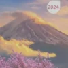 La bonne semence 2024, Collectif